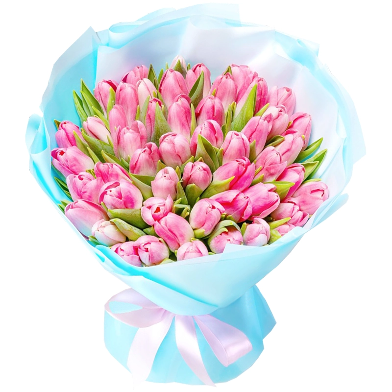 51 ярко розовый тюльпан