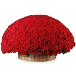 Букет 1001 алая роза в корзине