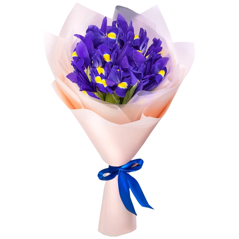 Букет из 9 ирисов